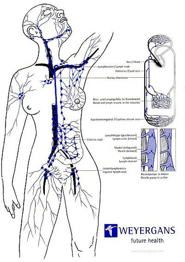 mapa2